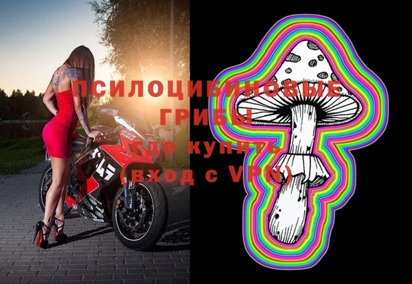 синтетический гашиш Белокуриха
